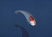 Koi Carp fish with red dot on back below water surface\n