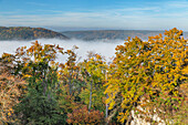 Nebel über dem Altmühltal, Riedenburg, Naturpark Altmühltal, Bayern, Deutschland, Europa