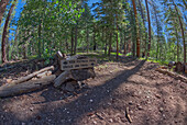 The trail junction for the Ken Patrick Trail and Uncle Jim Trail at Grand Canyon North Rim, Grand Canyon National Park, UNESCO World Heritage Site, Arizona, United States of America, North America\n