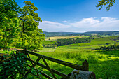 View of farmland near Chatsworth House in spring, Derbyshire Dales, Derbyshire, England, United Kingdom, Europe\n