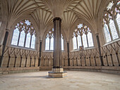 Achteckiger Kapitelsaal, Kathedrale von Wells, Wells, Somerset, England, Vereinigtes Königreich, Europa