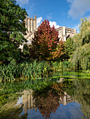 Der Garten von Wells, The Bishop's Palace, Wells, Somerset, England, Vereinigtes Königreich, Europa