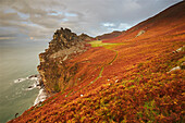An autumn evening view of the cliffs and rocks at the Valley of Rocks, north Devon coast near Lynton, Exmoor National Park, Devon, England, United Kingdom, Europe\n