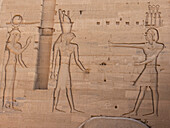 Hieroglyphen in der Tempelanlage von Philae, dem Tempel der Isis, heute auf der Insel Agilkia, UNESCO-Welterbe, Ägypten, Nordafrika, Afrika
