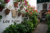 Los Patios, Cordoba, Andalusia, Spain, Europe\n