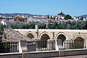 Römische Brücke, UNESCO-Weltkulturerbe, Cordoba, Andalusien, Spanien, Europa