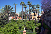 Gärten des Alcazar, UNESCO-Weltkulturerbe, Sevilla, Andalusien, Spanien, Europa