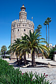 Torre del Oro, Sevilla, Andalusien, Spanien, Europa