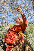 Smiling woman picking olives in olive grove\n