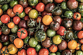 Hochformatige Ansicht von verschiedenen bunten Tomaten