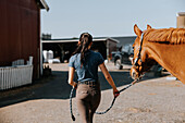Rear view of woman leading horse on paddock\n
