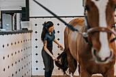 Smiling woman in stables grooming horse\n