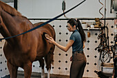 Frau im Pferdestall striegelt Pferd mit Bürste
