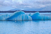 Eisberge vom San-Rafael-Gletscher in der Lagune San Rafael im Nationalpark Laguna San Rafael, Chile.