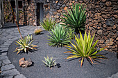 The Jardin de Cactus (Cactus garden) is a wonderful example of architectural intervention integrated into the landscape, designed by Cesar Manrique in Lanzarote, Canary Islands, Spain\n