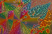 Das Bild zeigt eine kristallisierte Mischung aus Apfelsäure und Hydrochinon, aufgenommen durch das Mikroskop in polarisiertem Licht bei 100facher Vergrößerung