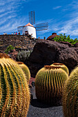 Der Jardin de Cactus (Kaktusgarten) ist ein wunderbares Beispiel für einen in die Landschaft integrierten architektonischen Eingriff, entworfen von Cesar Manrique auf Lanzarote, Kanarische Inseln, Spanien