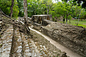 The stairs of Pyramid A1 & Structure A2 in the Mayan ruins in the Cahal Pech Archeological Reserve, Belize.\n