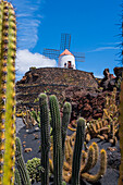 The Jardin de Cactus (Cactus garden) is a wonderful example of architectural intervention integrated into the landscape, designed by Cesar Manrique in Lanzarote, Canary Islands, Spain\n