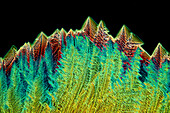 Das Bild zeigt kristallisierte Weinsäure, fotografiert durch das Mikroskop in polarisiertem Licht bei einer Vergrößerung von 100X