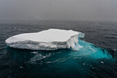 Neko Harbor, Antarctica.\n