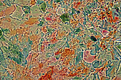 Das Bild zeigt eine kristallisierte Mischung aus Erythritol und TRIS, fotografiert durch das Mikroskop in polarisiertem Licht bei einer Vergrößerung von 100X