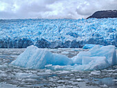 Icebergs in the lagoon at the terminus of the San Rafael Glacier in Laguna San Rafael National Park, Chile.\n