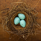 Three blue eggs in birds nest\n