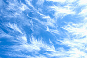 White Cirrus uncinus clouds against blue sly\n