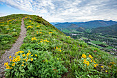USA, Idaho, Hailey, Wanderweg am Carbonate Mountain