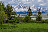 USA, Idaho, Stanley, Scenic landscape with trees and Sawtooth Mountains\n
