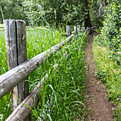 Empty footpath next to rail fence with grass\n