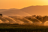 USA, Idaho, Bellevue, Farm-Bewässerungsanlage mit Berglandschaft im Hintergrund bei Sonnenuntergang