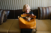 Woman holding on lap bag with Yorkshire terrier in living room \n