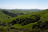USA, California, San Luis Obispo, Rolling green landscape with clear sky above \n