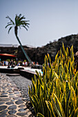 Jameos del Agua ist eine Reihe von Lavahöhlen und ein Kunst-, Kultur- und Tourismuszentrum, das vom lokalen Künstler und Architekten Cesar Manrique auf Lanzarote, Kanarische Inseln, Spanien, geschaffen wurde.