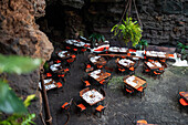 Restaurant at Jameos del Agua, a series of lava caves and an art, culture and tourism center created by local artist and architect, Cesar Manrique, Lanzarote, Canary Islands, Spain\n