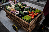 The Offering of Fruits on the morning of 13 October during the Fiestas del Pilar, Zaragoza, Aragon, Spain\n