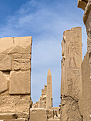 Obelisk von Thutmosis I., Tempelkomplex von Karnak, eine riesige Mischung aus Tempeln, Pylonen und Kapellen, UNESCO-Welterbestätte, bei Luxor, Theben, Ägypten, Nordafrika, Afrika