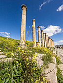 Blumen vor den Säulen in der antiken Stadt Jerash, die vermutlich 331 v. Chr. von Alexander dem Großen gegründet wurde, Jerash, Jordanien, Naher Osten