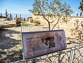 Olive tree and sign commemorating the visit of Pope John Paul II on 20 March 2000 to the summit of Mount Nebo during his pilgrimage to the Holy Land, Jordan, Middle East\n