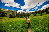 Walkers on Grand Teton National Park trails, Wyoming, United States of America, North America\n