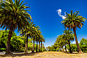 Terranea Resort, Rancho Palos Verdes, California, United States of America, North America\n