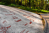 Bronze Age rock carving in Tanum, UNESCO World Heritage Site, Vastra Gotaland, Bohuslan province, Sweden, Scandinavia, Europe\n