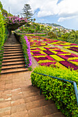 Madeira Botanical Garden, Funchal, Madeira, Portugal, Atlantic, Europe\n