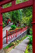 Monte Palace Tropical Garden, Funchal, Madeira, Portugal, Atlantic, Europe\n