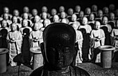 Hundreds of jizo statues lined up at the Hasedera Temple, Kamakura, Honshu, Japan, Asia\n