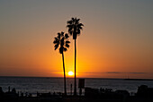 Sonnenuntergang über dem Meer und zwei Palmen in der Silhouette, Dana Point, Kalifornien, Vereinigte Staaten von Amerika, Nordamerika