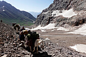 Packtiere in den abgelegenen und spektakulären Fann-Bergen, Teil der westlichen Pamir-Alay, Tadschikistan, Zentralasien, Asien