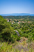 Blick auf Olivenhaine und Küstenlinie bei Lourdata, Kefalonia, Ionische Inseln, Griechische Inseln, Griechenland, Europa